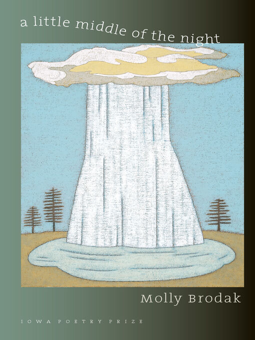 Title details for A Little Middle of the Night by Molly Brodak - Wait list